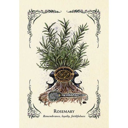 Green Witch&