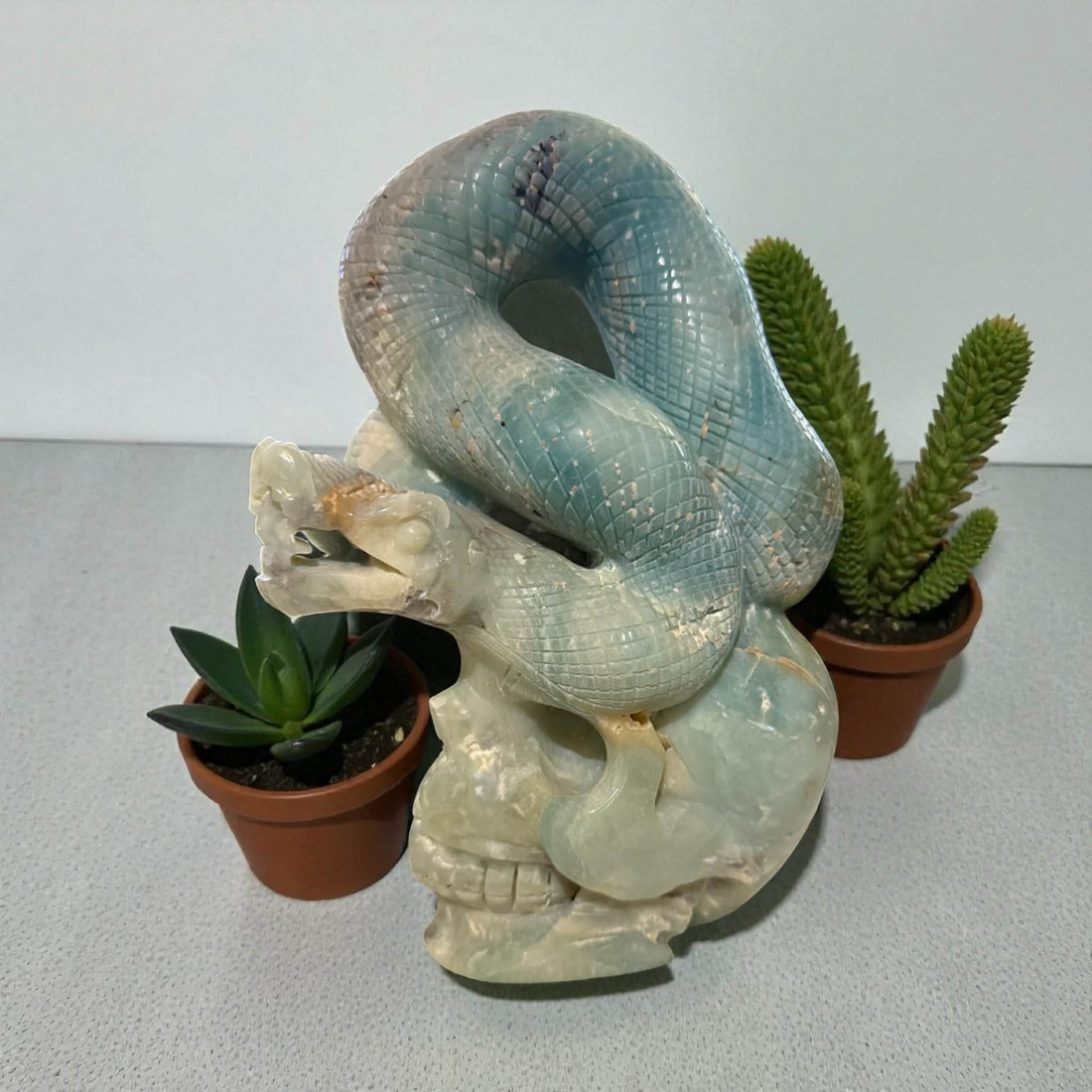 Massive Caribbean Calcite Skull with Snake – 9” Tall | 7 lbs 4 oz