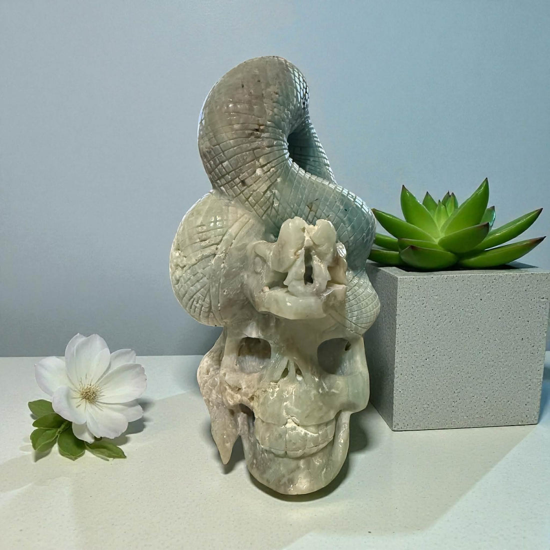 Massive Caribbean Calcite Skull with Snake – 9” Tall | 7 lbs 4 oz
