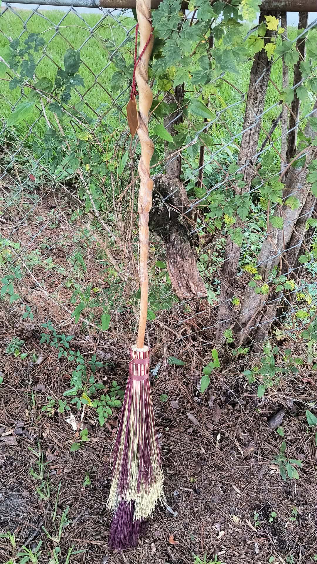 The Witch in the Woods