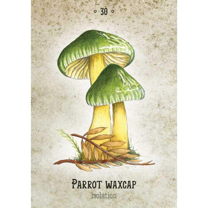 Mushroom Spirit Oracle Deck by Nicola McIntosh – 36 Illustrated Cards &amp; Guidebook