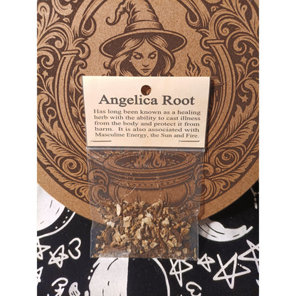 Angelica Root | Witchcraft Herb