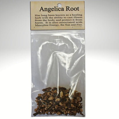 Angelica Root | Witchcraft Herb