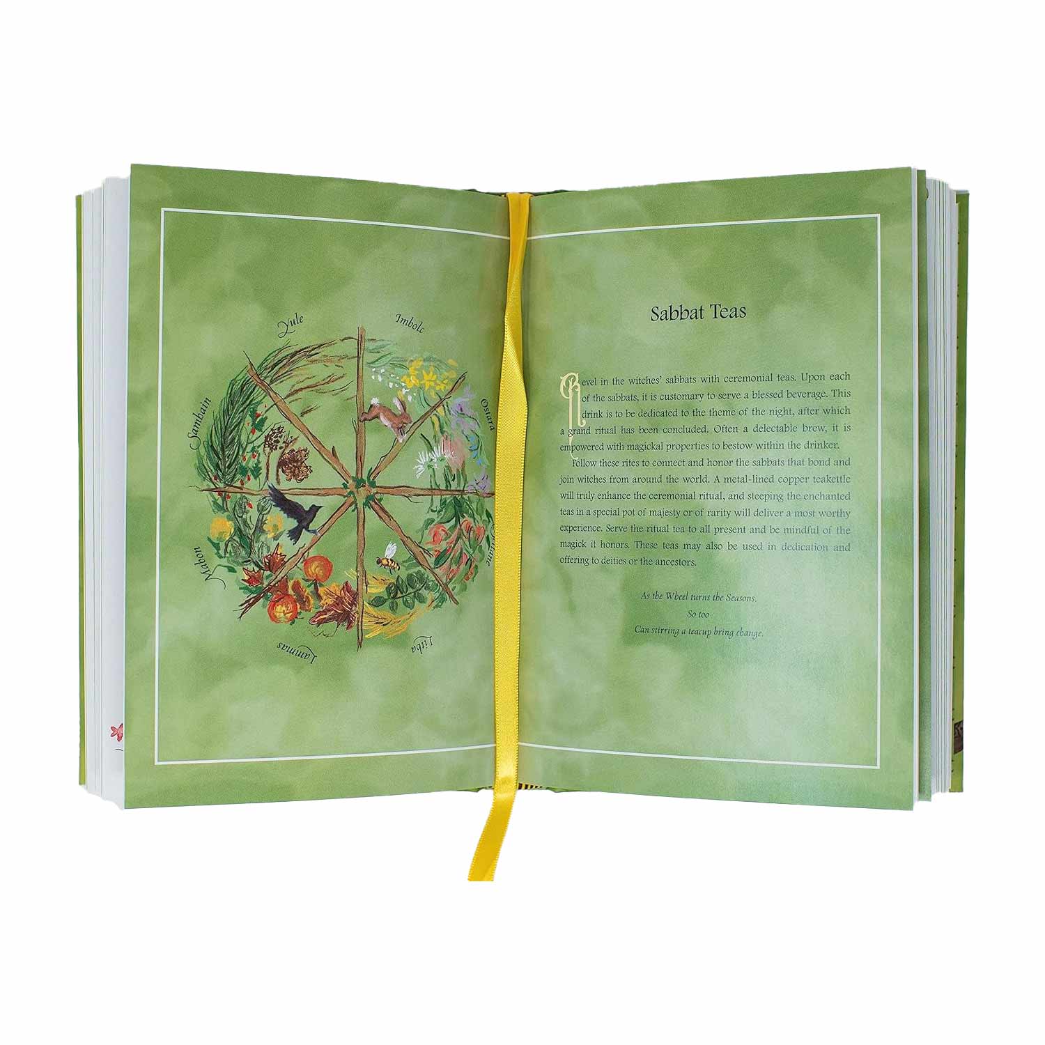 Open pages of Tea Witch&