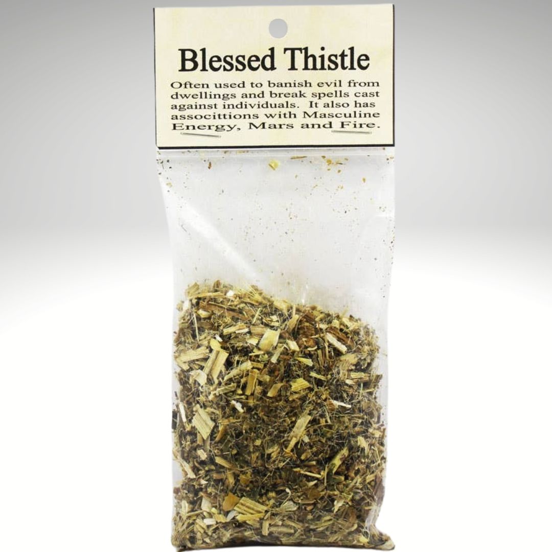 Blessed Thistle | Witchcraft Herb