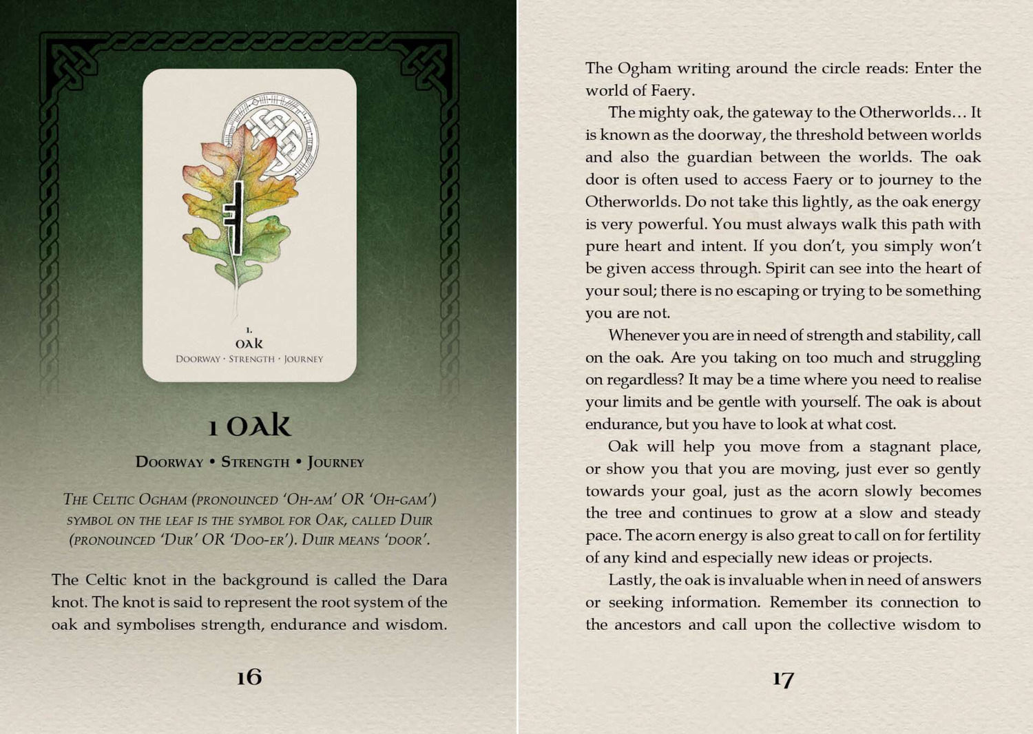Celtic Spirit Oracle card featuring an illustration of an ancient oak tree with Celtic imagery and descriptive text