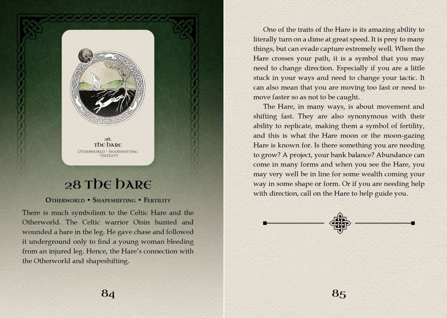 Celtic Spirit Oracle card titled The Dark featuring an atmospheric illustration of shadowed forest and nocturnal sky