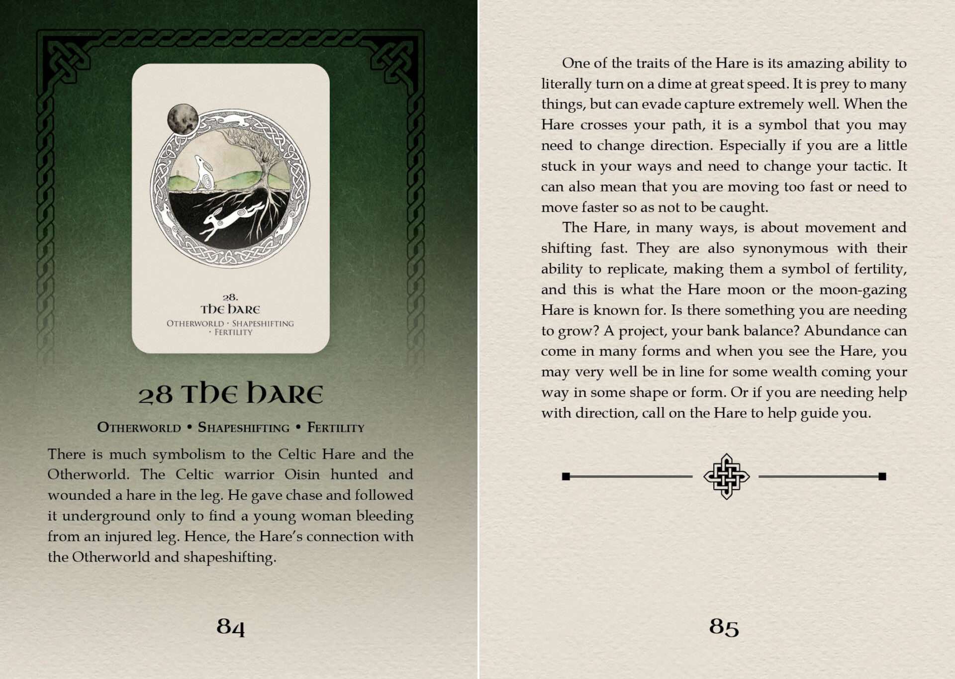 Celtic Spirit Oracle card titled The Dark featuring an atmospheric illustration of shadowed forest and nocturnal sky