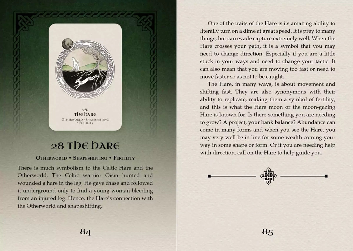Celtic Spirit Oracle card titled The Dark featuring an atmospheric illustration of shadowed forest and nocturnal sky