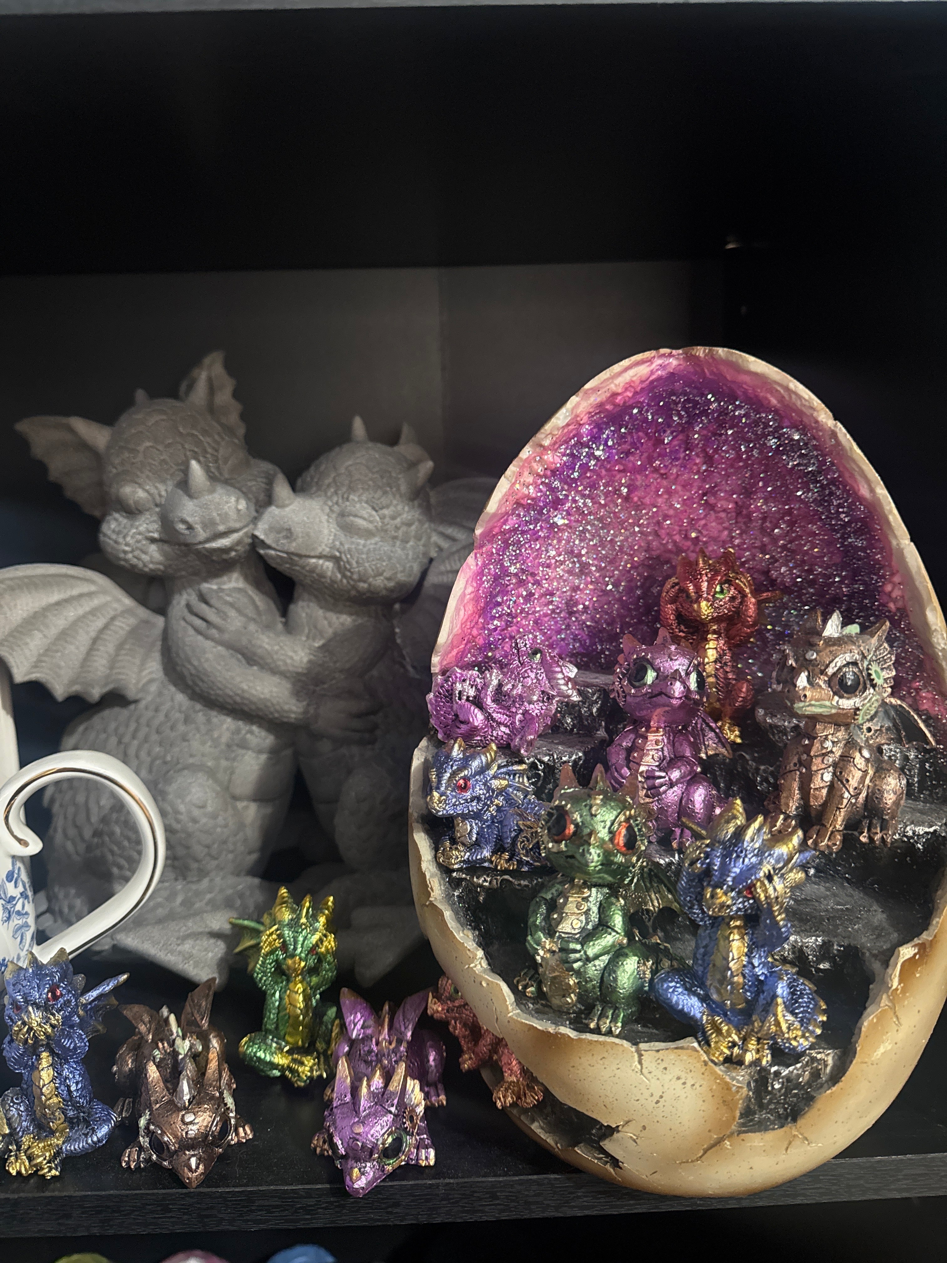 Dragon Adoption Coming Soon