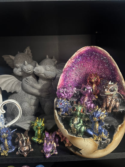 Dragon Adoption Coming Soon