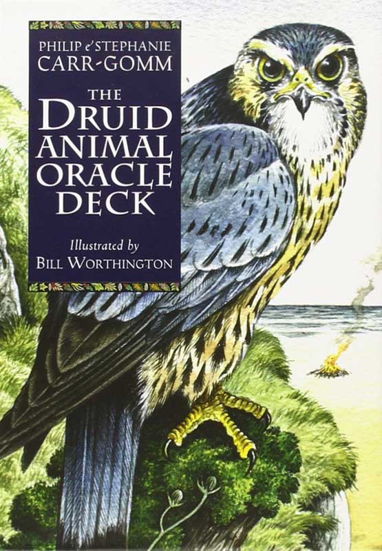 Druid Animal Oracle Deck cover featuring a detailed illustration of a falcon perched on a branch — vibrant Celtic animal divination oracle artwork.