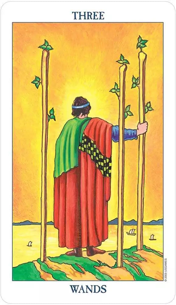 Radiant Rider-Waite Tarot card with a cloaked figure overlooking a landscape — moody scene in Poshkus&