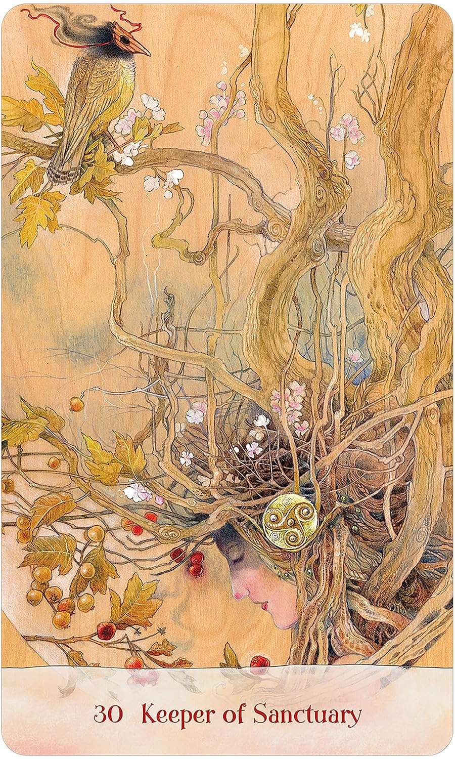 Tree Keepers Oracle by Sullins &amp;amp; Law – 44-Card Deck with Guidebook &amp;amp; Pouch