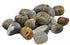 One pound bulk lot of tumbled dendritic agate stones showing distinctive fern and tree-branch-like black inclusions on white and grey translucent agate base.