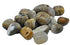 One pound bulk lot of tumbled dendritic agate stones showing distinctive fern and tree-branch-like black inclusions on white and grey translucent agate base.