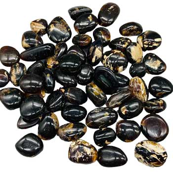 A collection of zebra amber tumbled stones showing distinctive banded striping in warm golden and brown fossilized resin, sold in 1 lb bulk for collectors and ritual work.