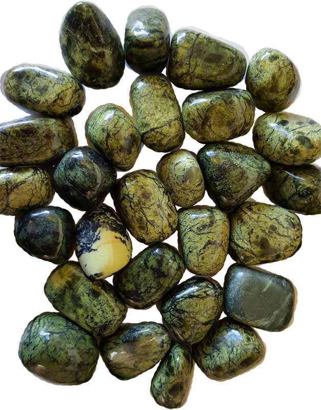 One-pound collection of smooth light green asterite serpentine tumbled stones for chakra alignment grounding psychic development and transformation crystal work