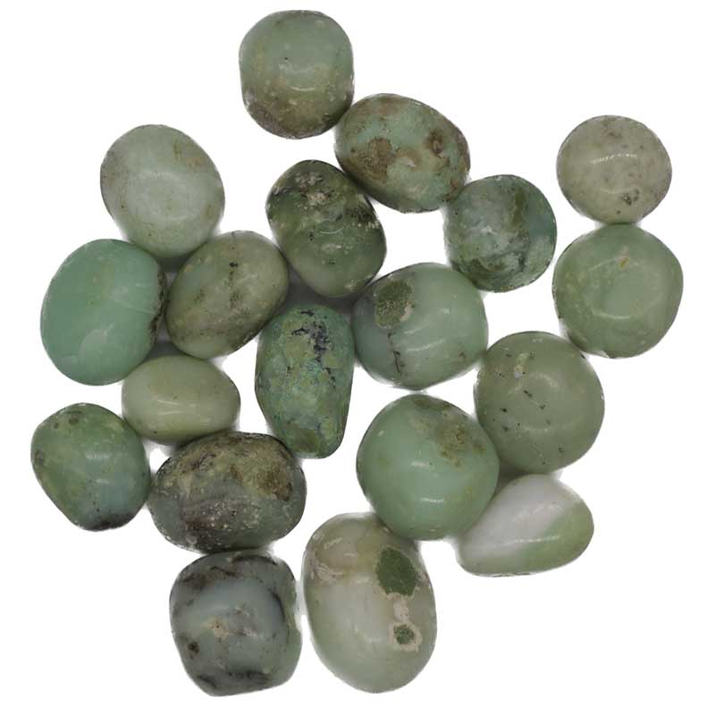 One pound bulk lot of polished chrysoprase tumbled stones in vivid apple-green — heart chakra and abundance crystal collection.