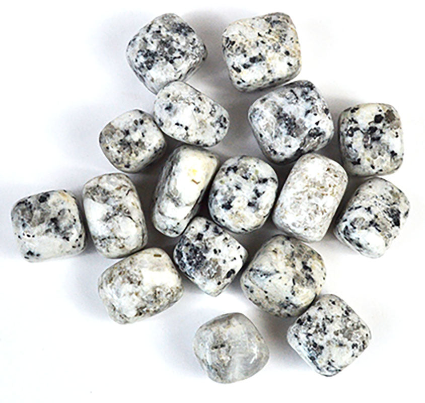 Dalmatian Jasper tumbled stones 1 lb bulk showing pile of spotted cream and black jasper polished stones for crystal grid and altar work