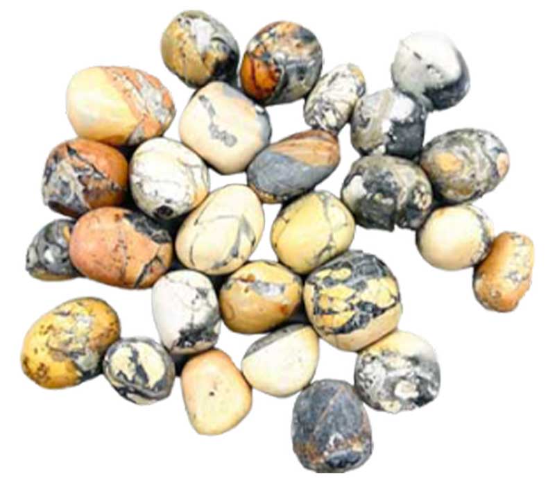 1 lb Jasper, Maligano tumbled