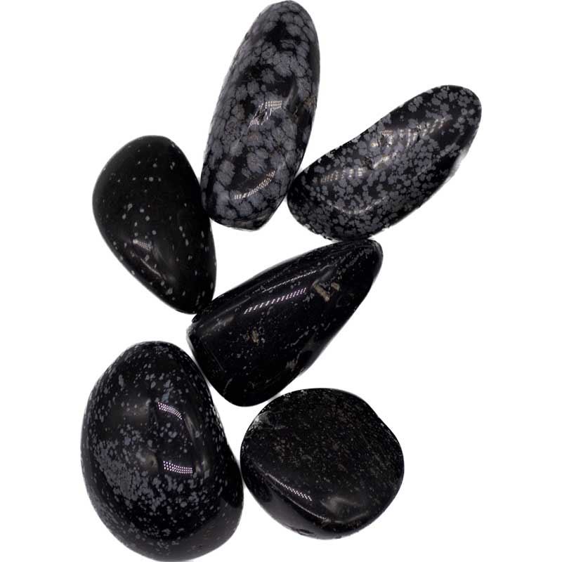 1 lb snowflake obsidian tumbled stones showing polished black volcanic glass with white phenocryst snowflake inclusions.