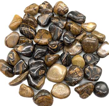 1 lb Stromatolite – Tumbled Bulk Stones