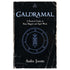 Galdramal practical guide to rune magick by Andre Jooste — paperback cover featuring Norse runic imagery and Elder Futhark runes.
