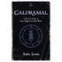 Galdramal practical guide to rune magick by Andre Jooste — paperback cover featuring Norse runic imagery and Elder Futhark runes.