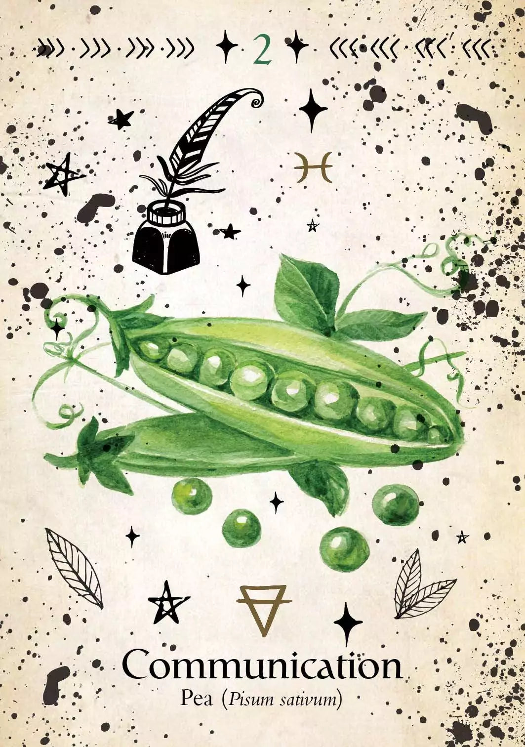 Green Witch Oracle card featuring a whimsical illustration of green peas in an open pod surrounded by small leaves and floral accents.