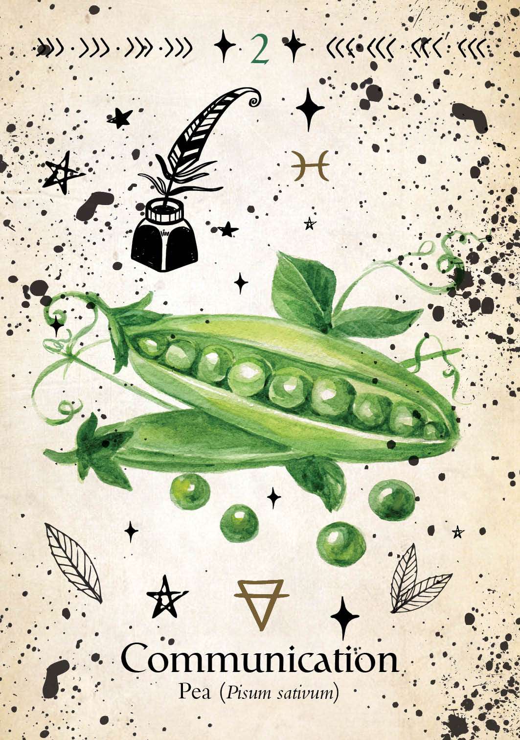 Green Witch Oracle card featuring a whimsical illustration of green peas in an open pod surrounded by small leaves and floral accents.
