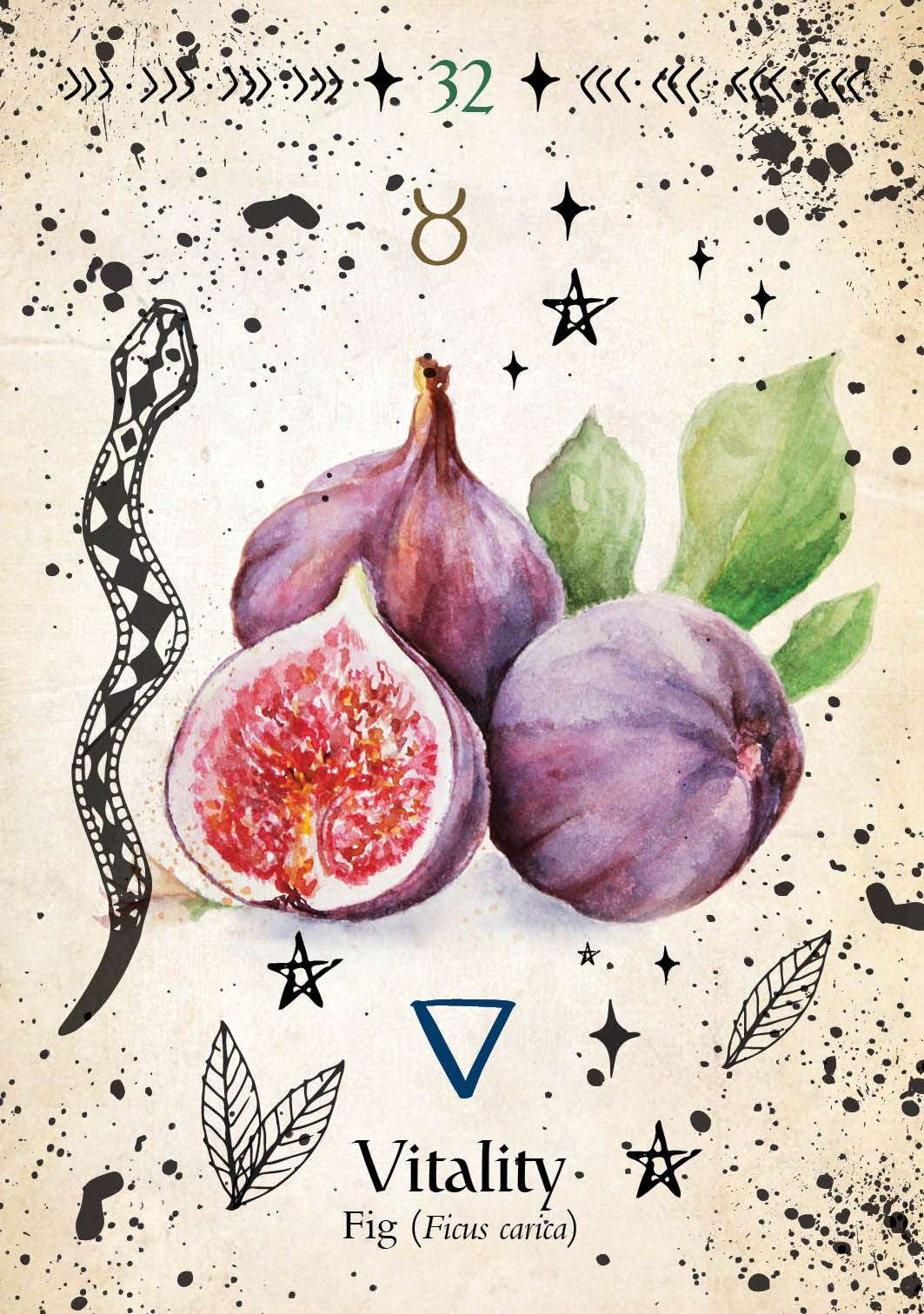 Green Witch Oracle card showing a watercolor illustration of ripe figs, one sliced open to reveal the pink interior, with leaves.
