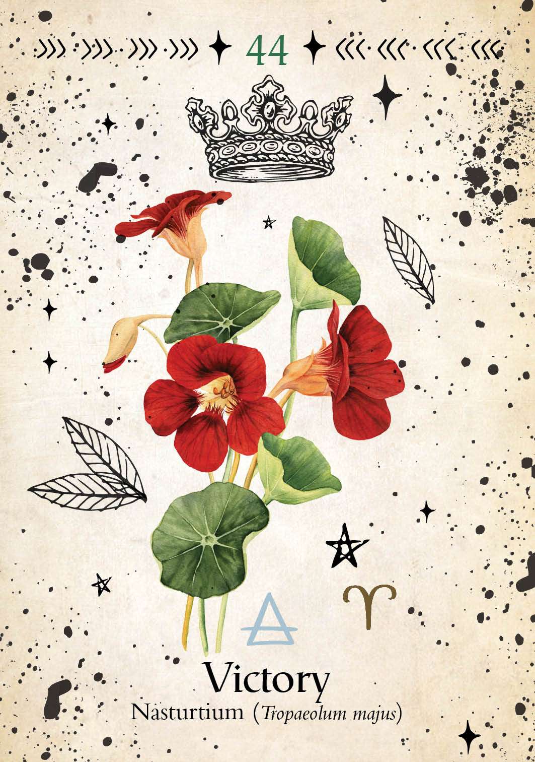 Green Witch Oracle card featuring vibrant watercolor illustration of red nasturtium flowers with green rounded leaves on a white background.