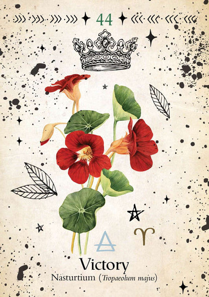 Green Witch Oracle card featuring vibrant watercolor illustration of red nasturtium flowers with green rounded leaves on a white background.