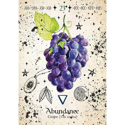 Green Witch Oracle Deck – 44 Cards &amp; Guidebook | Garden Magick, Herbal Wisdom, Divination