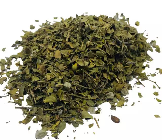 Dried chaparral leaf in cut form, 1oz single-ounce ritual herb packet for desert purification smoke, cleansing sachets, and protective ritual practice.