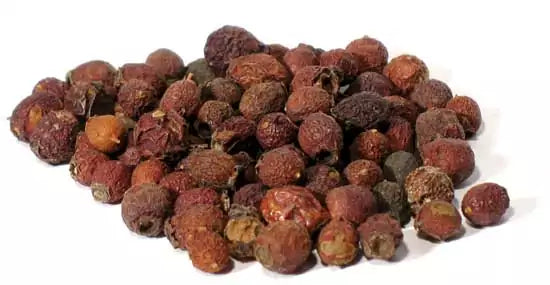 Dried hawthorn berries Crataegus laevigata whole dark brown wrinkled fruits in a pile for Beltane and protection ritual workings