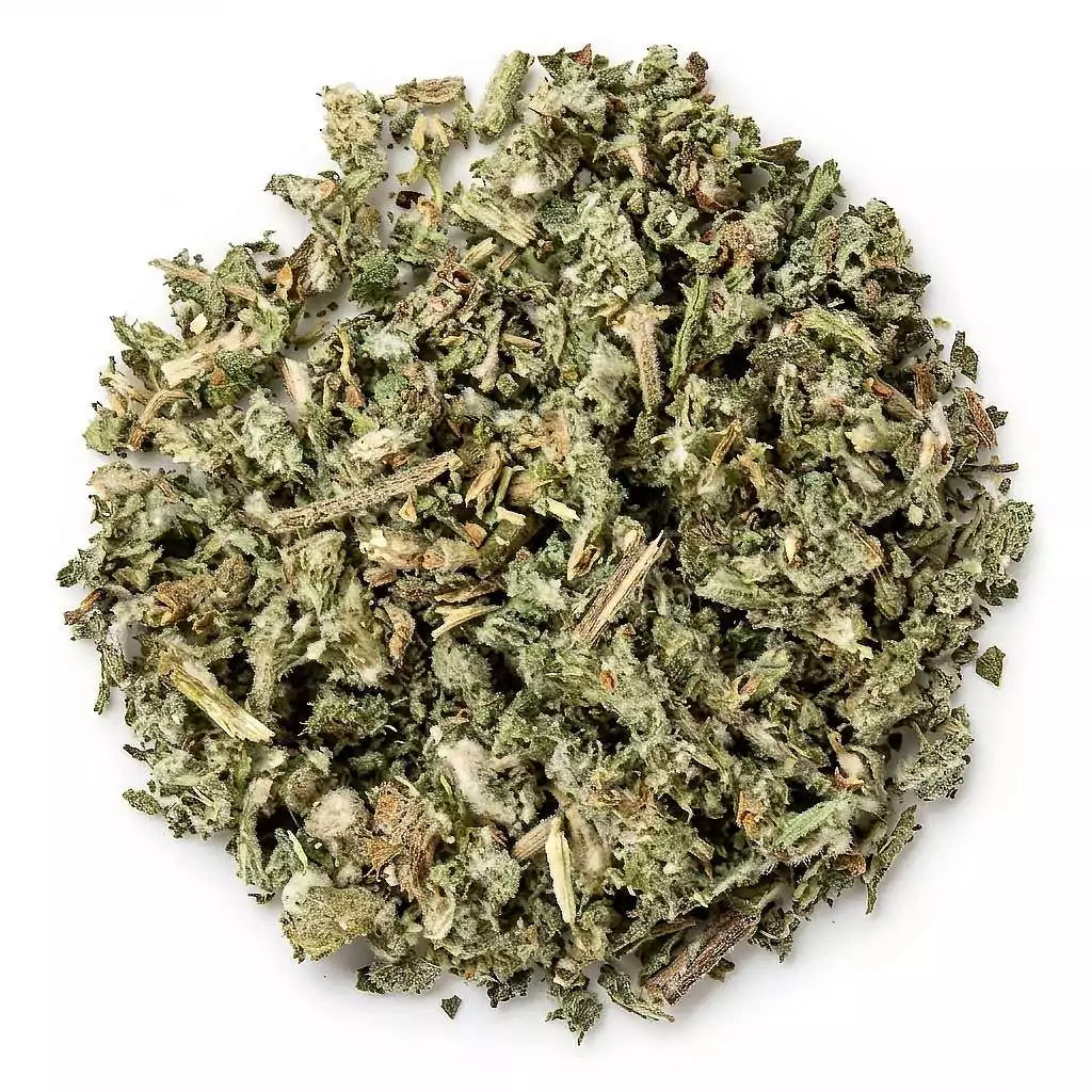 Dried horehound Marrubium vulgare cut herb showing a pile of green leaves and stems used for protection and anti-hex ritual