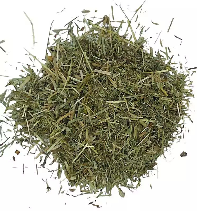 Dried shavegrass horsetail herb in bulk 1 lb, a wildcrafted Saturn-ruled botanical for protection, binding, and psychic work rituals.