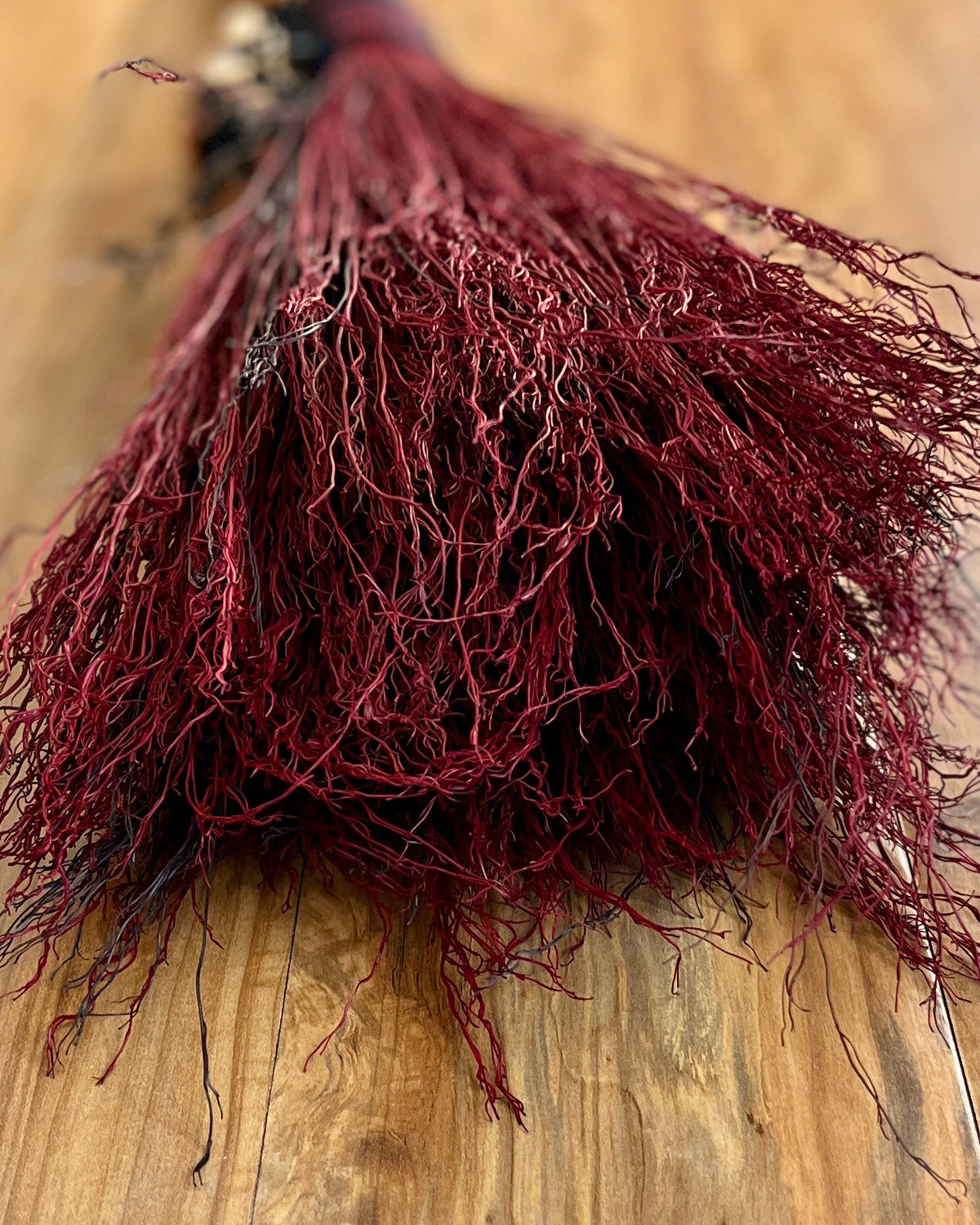 Still Root