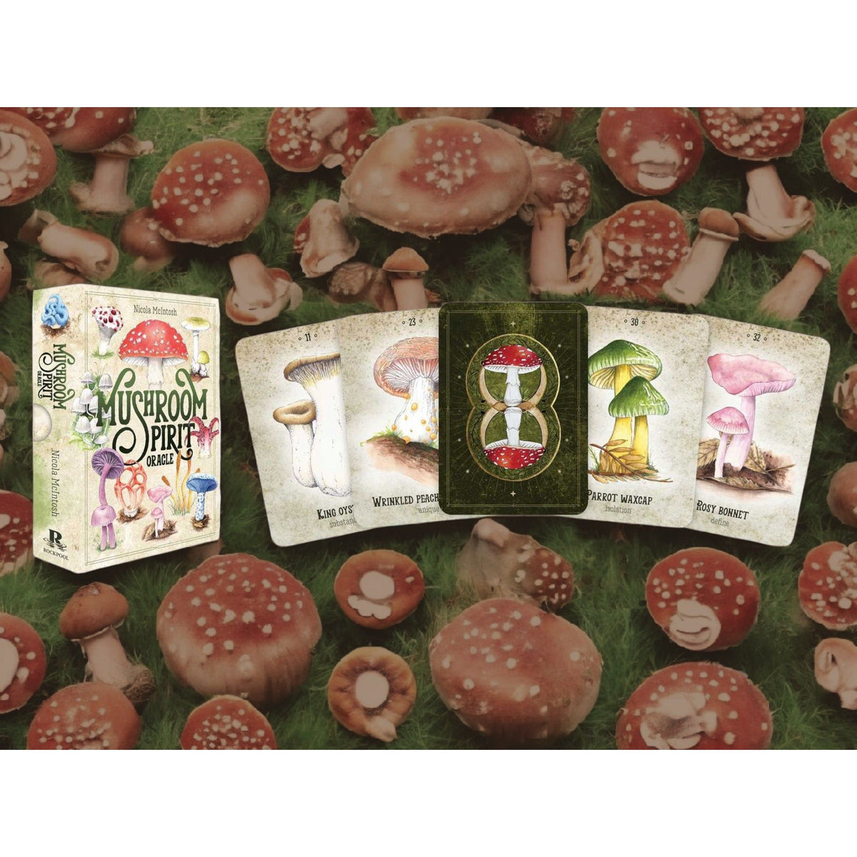 Mushroom Spirit Oracle Deck by Nicola McIntosh – 36 Illustrated Cards &amp; Guidebook