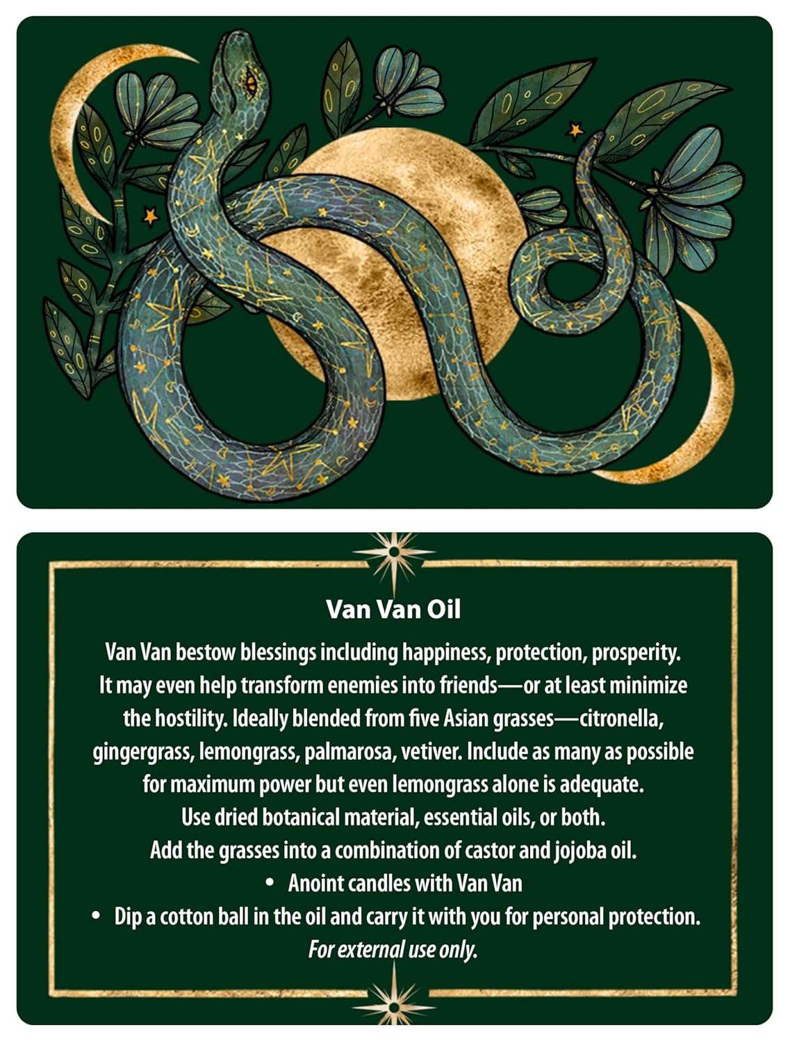 Protection Spells card with snake and leaf motif accompanied by text describing a specific protective working or spell.