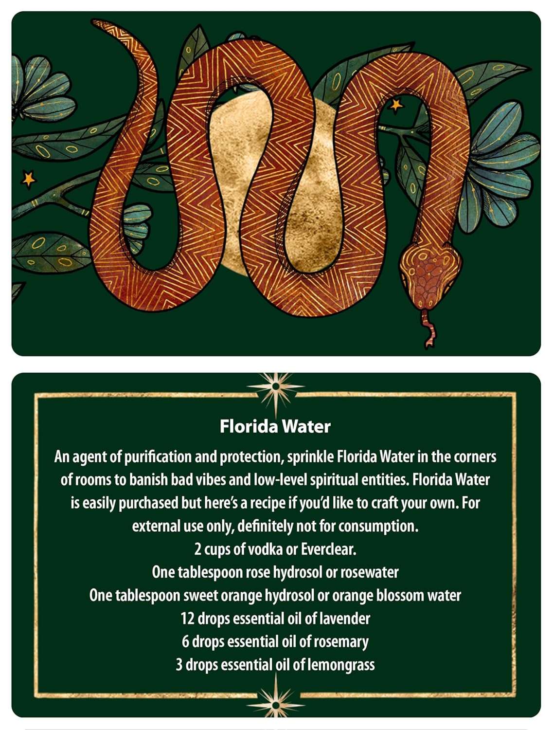 Protection Spells card featuring a snake with foliage and a recipe for creating Florida Water for spiritual cleansing.