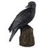 Six inch backward-looking raven statue in resin evoking Norse Huginn Muninn or Morrigan corvid for pagan altar shadow work and prophecy decor