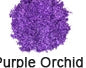 Close-up of purple orchid flowers with a blurred background