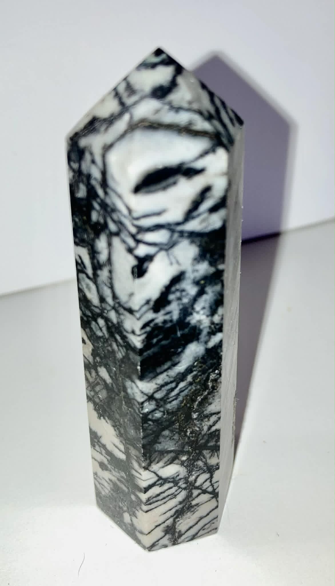 Zebra Jasper