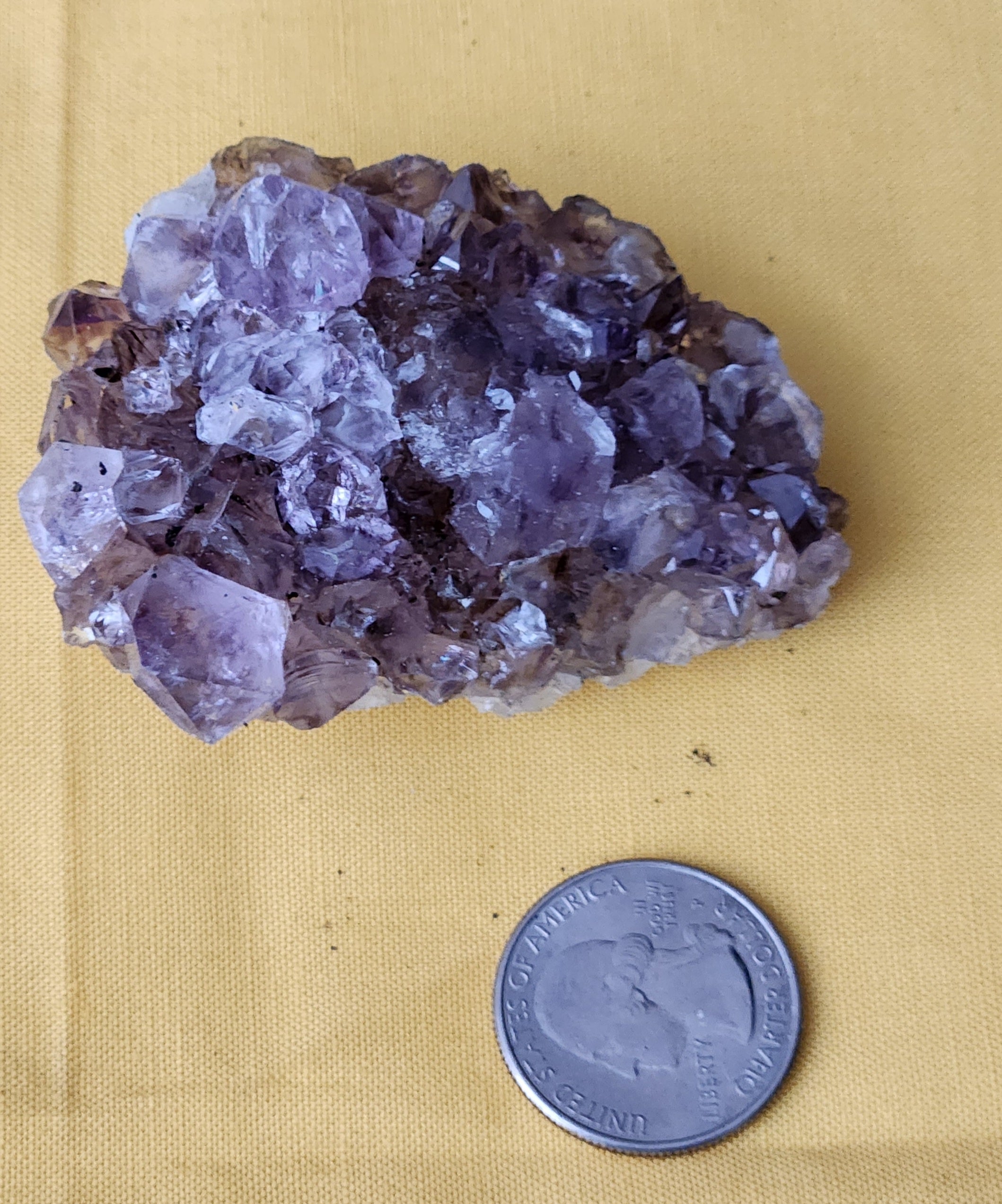 Amethyst Clusters - Raw