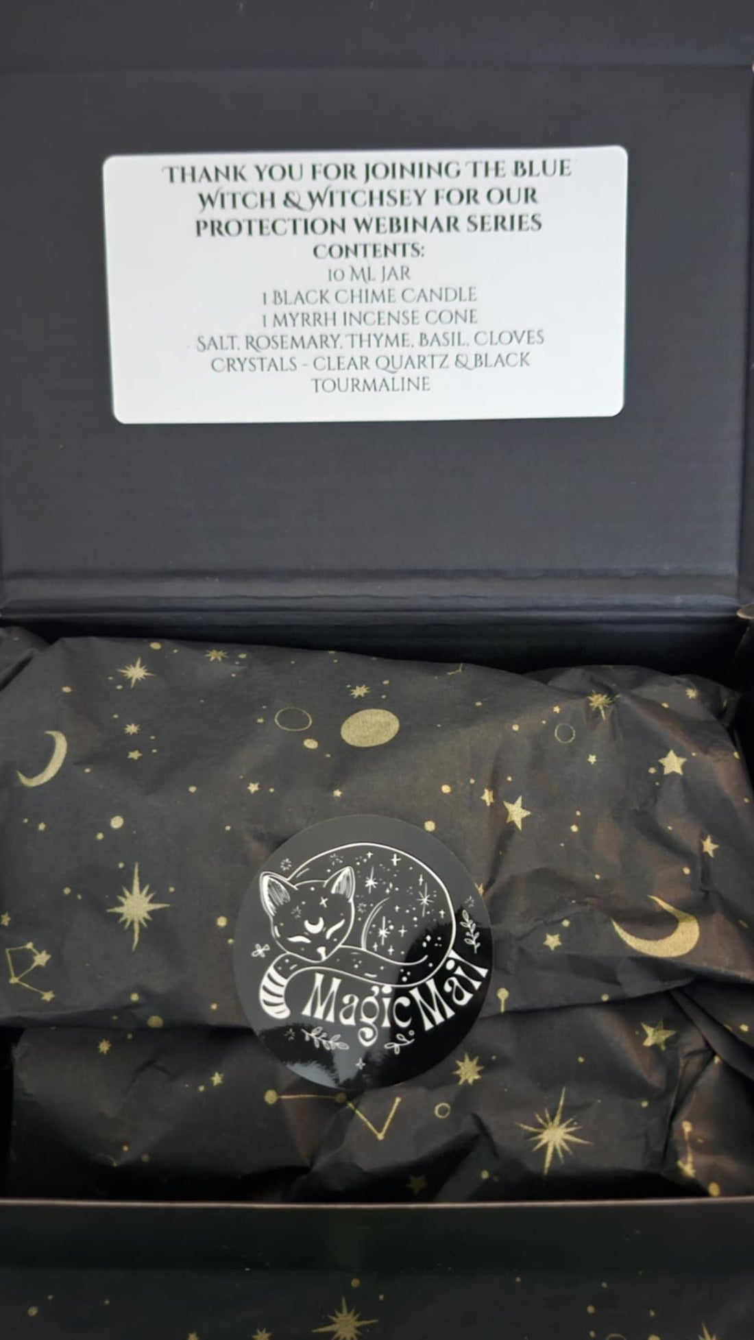 The Blue Witch Protection Kit