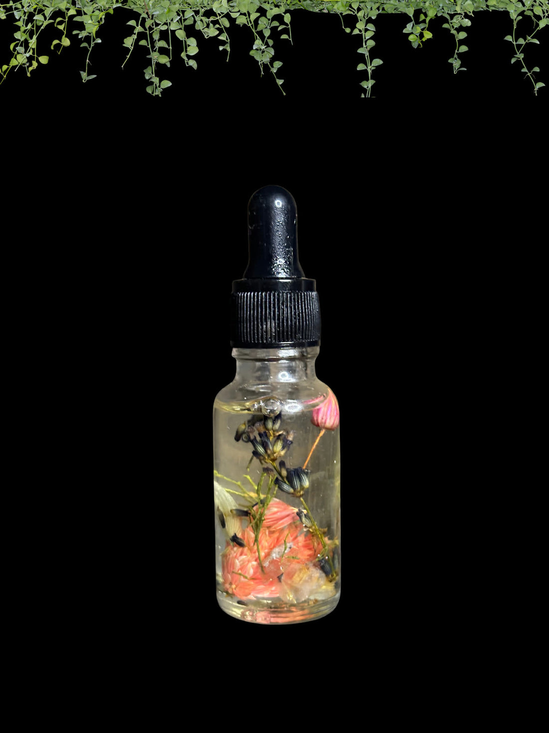 Glamour Oil