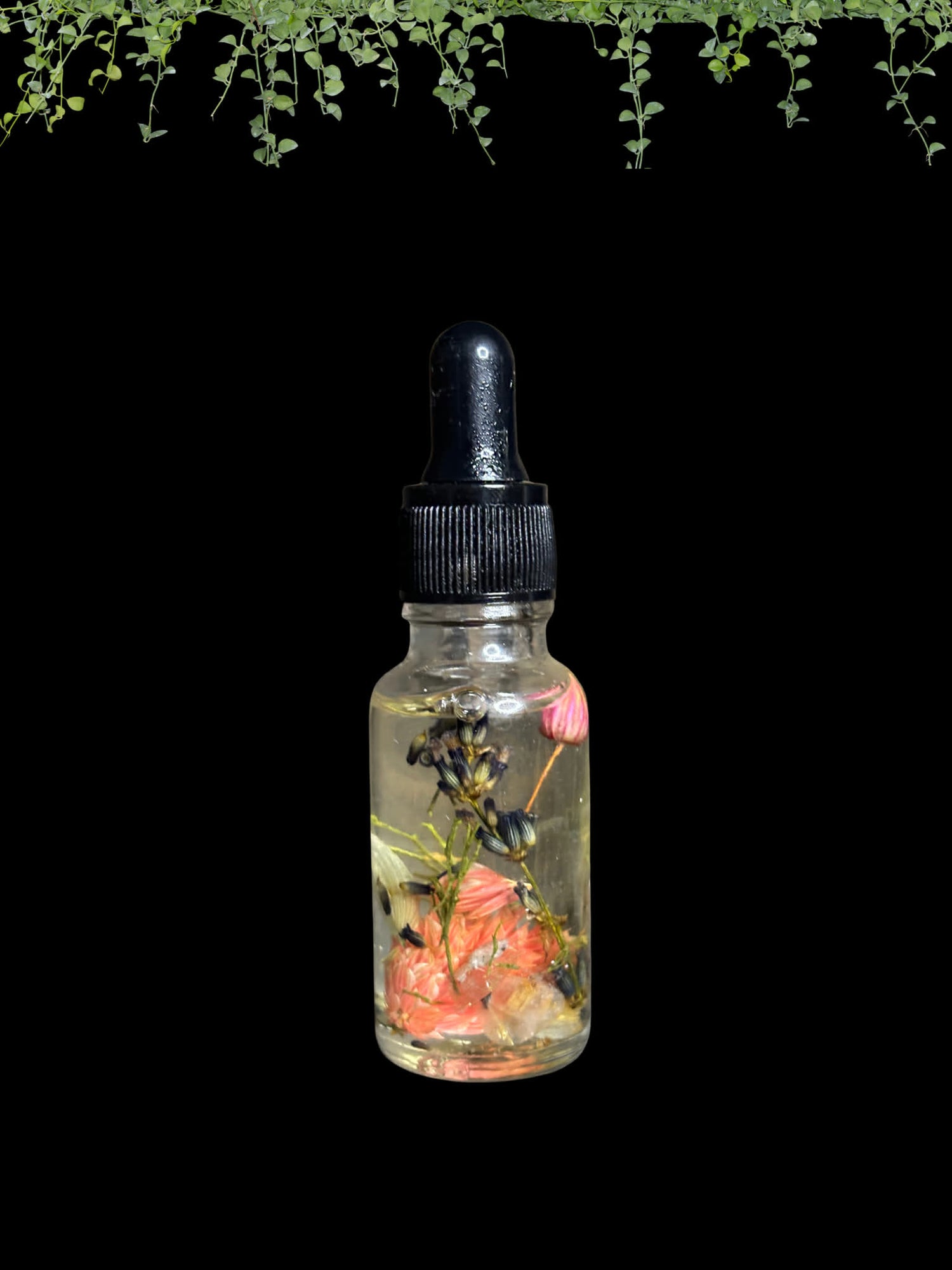 Glamour Oil